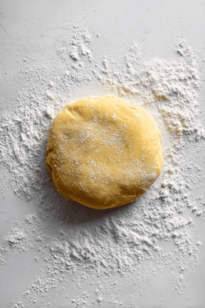 Pie crust dough shaped into smooth disk on white surface, lightly floured