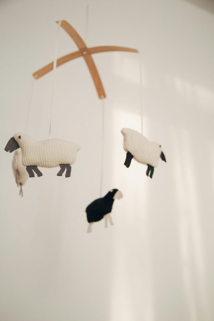 wool felt toys