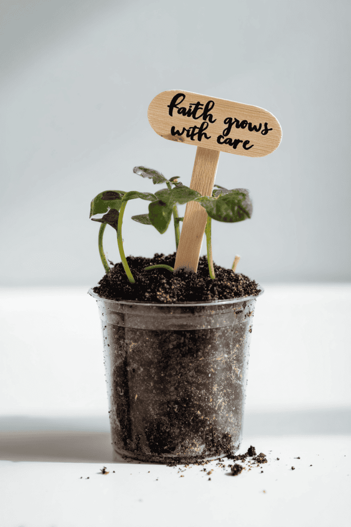 four planting cups arranged in a row, each slightly different in decoration.