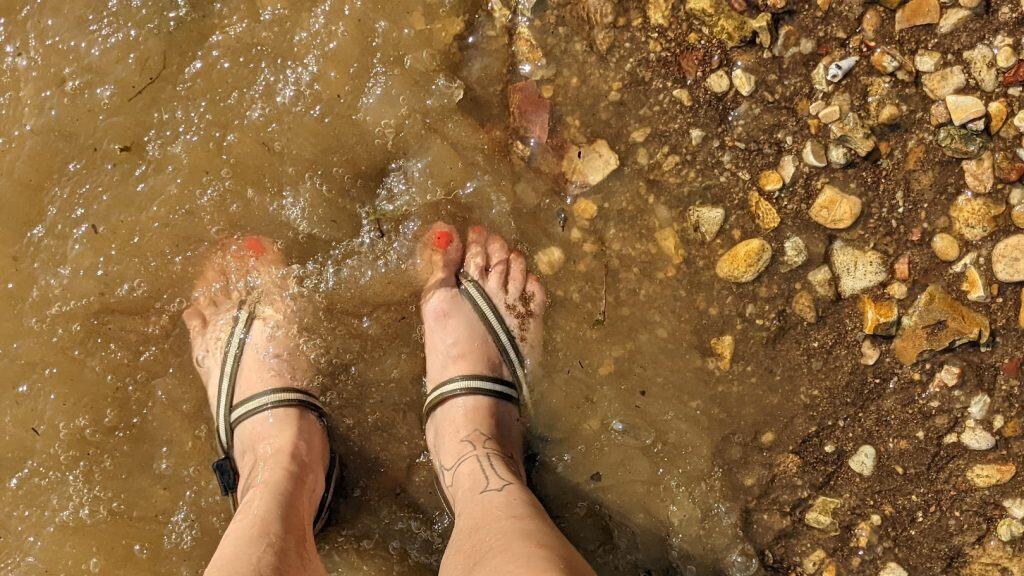 a person standing in shallow, murky brown stream water with sunlight casting across their submerged feet.
