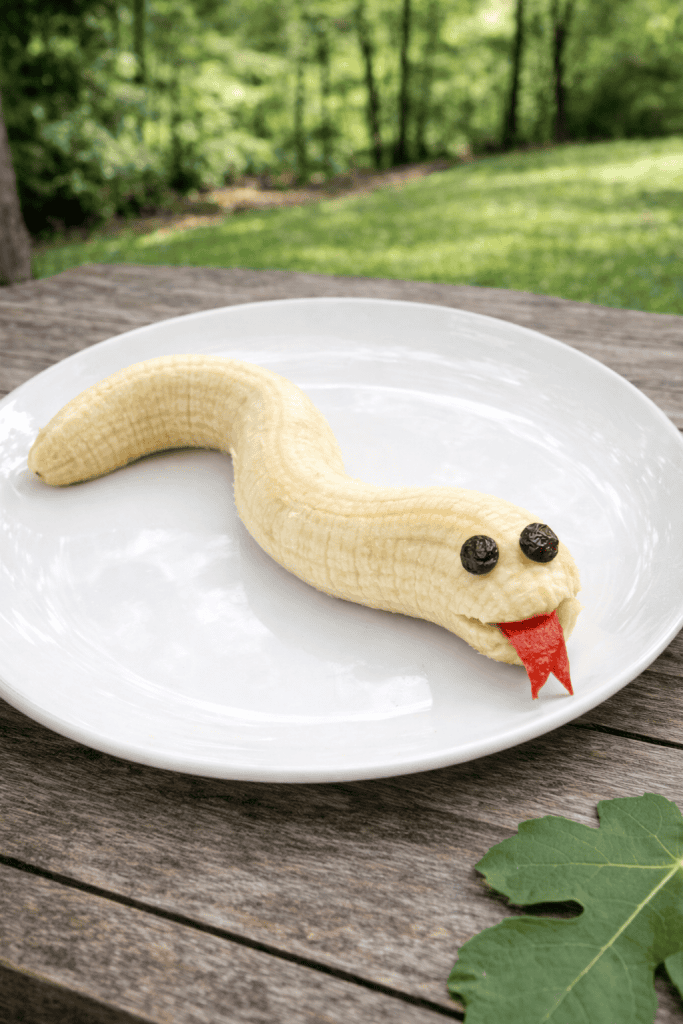 Snake snack on wooden table