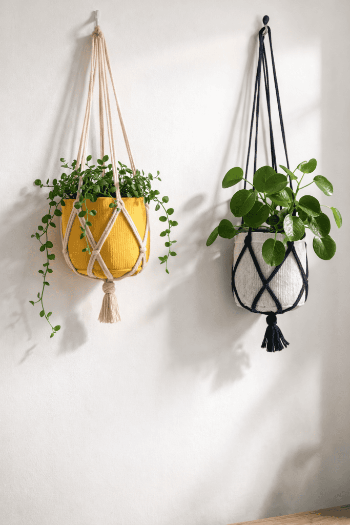 two modern hanging planters suspended against a clean white wall