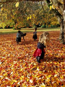 children exploring fallen leaves during forest school outdoor activity