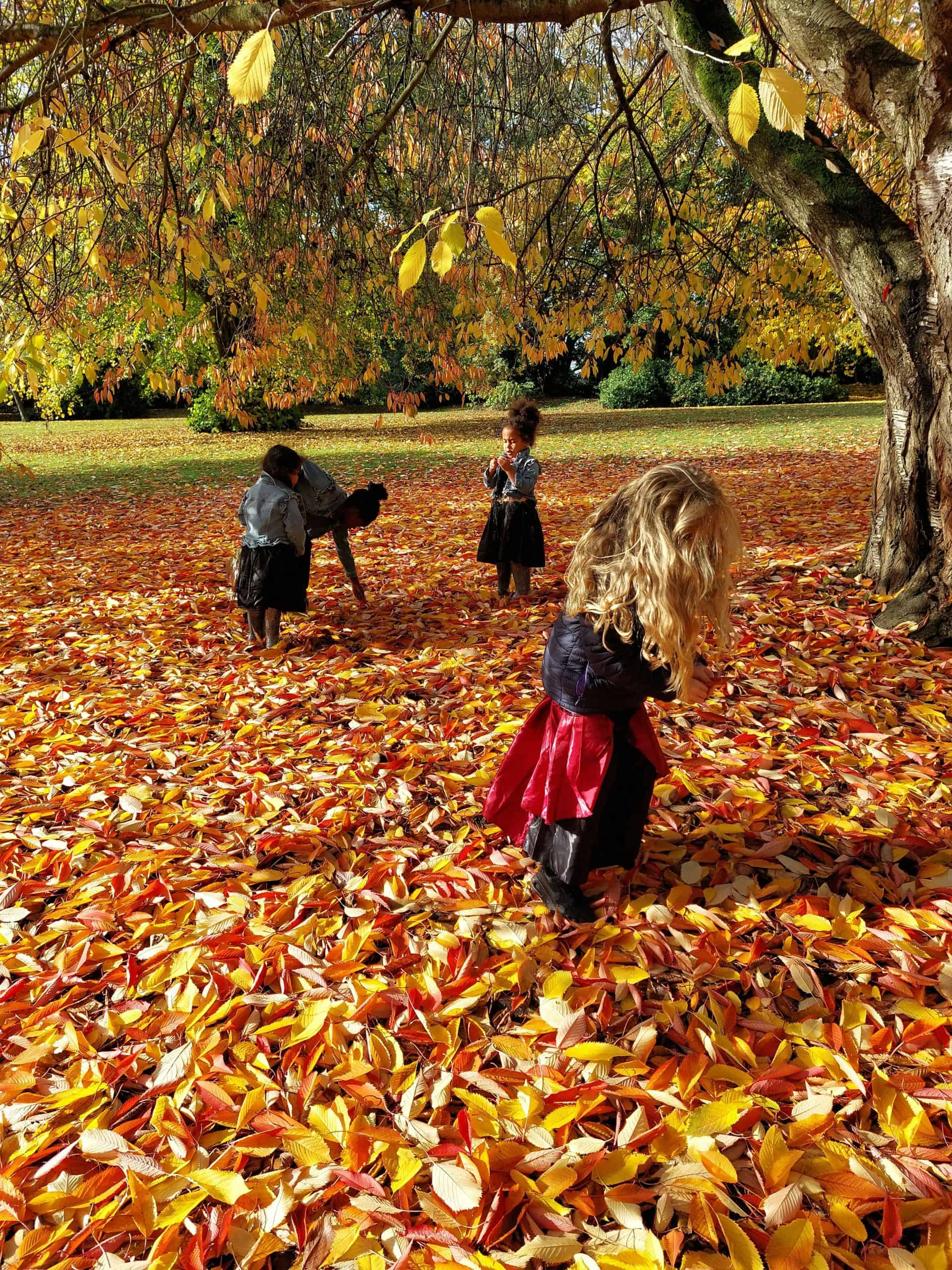 children exploring fallen leaves during forest school outdoor activity