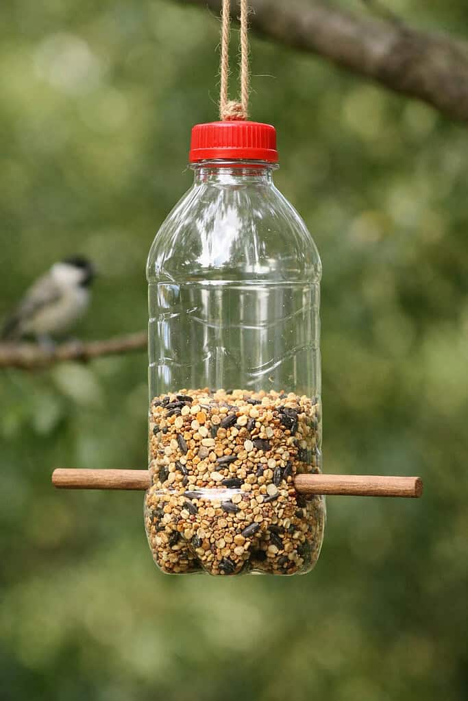 Homemade bird feeder in nature