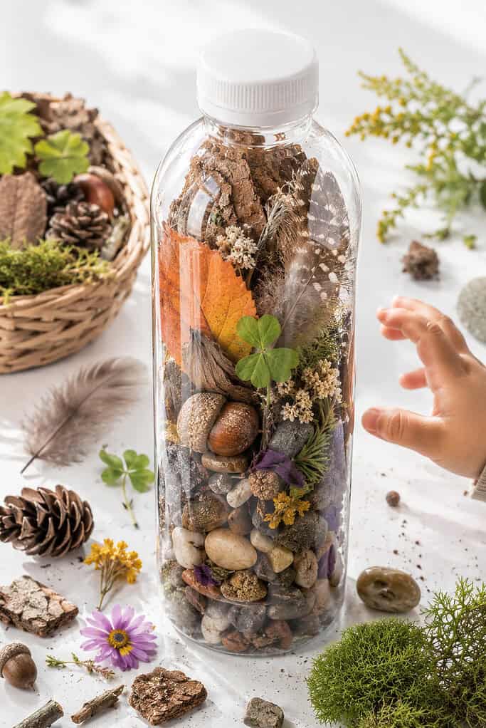 one clear dry sensory bottle filled with tiny nature treasures collected from a backyard adventure.