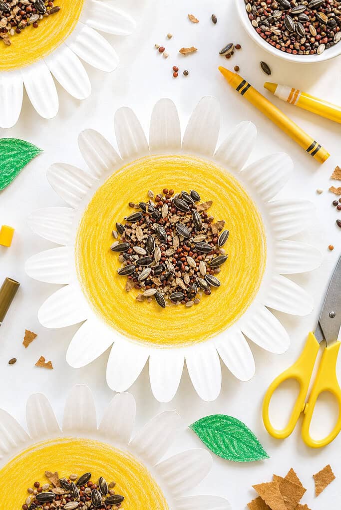 A white paper plate transformed into a flower by cutting evenly spaced petal shapes around the rim