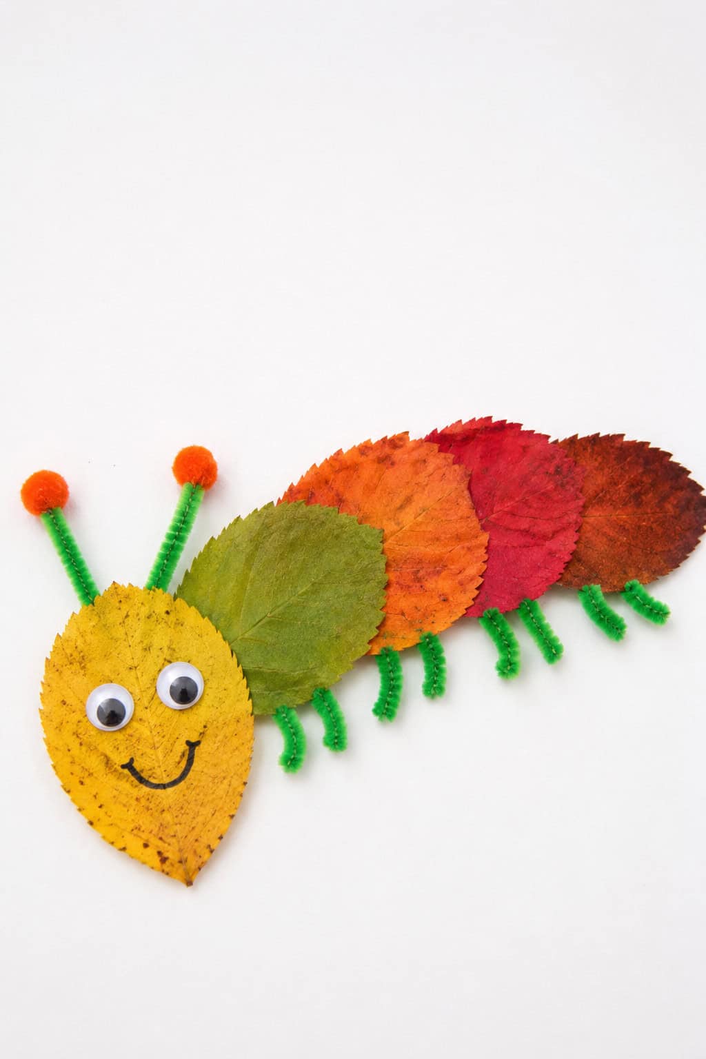 a playful leaf caterpillar, leaf animal, or leaf character that looks handmade by a child