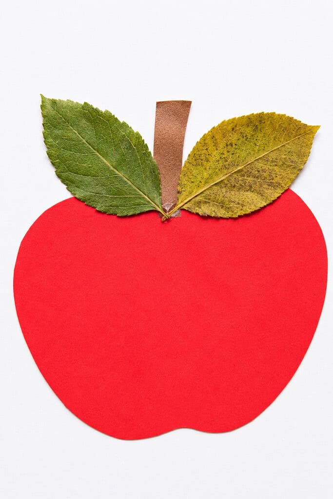 A red paper apple cutout with a brown paper stem and two real dried leaves, one green and one yellowed, placed on either side of the stem