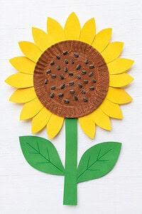 Paper plate sunflower craft with yellow paper petals, a brown painted center with sunflower seeds, a green paper stem, and two leaves on a white table.