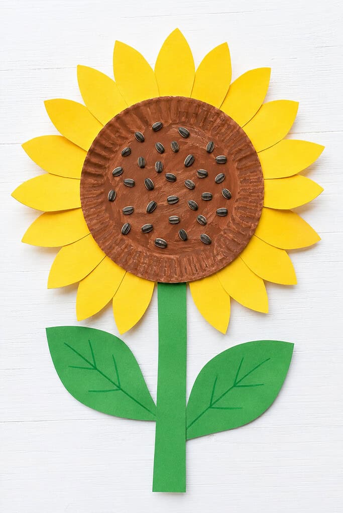 Paper plate sunflower craft with yellow paper petals, a brown painted center with sunflower seeds, a green paper stem, and two leaves on a white table.