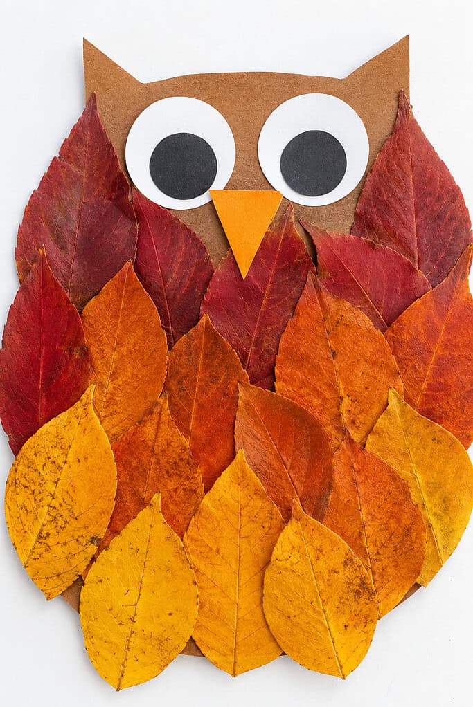Owl made from layered red, orange, and yellow fall leaves arranged like feathers, with white and black circle eyes and an orange triangular beak.