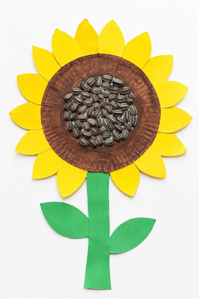 Flat lay of a paper plate sunflower craft with yellow paper petals, a brown painted center covered with sunflower seeds, and a green paper stem with two leaves on a bright white table.