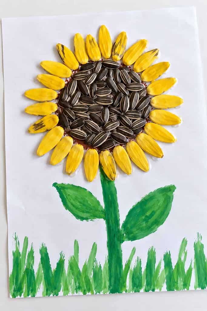 A sunflower seed art craft on white paper with petals made of yellow-painted sunflower seeds around a center packed with natural dark striped seeds, above a green painted stem and blades of grass.