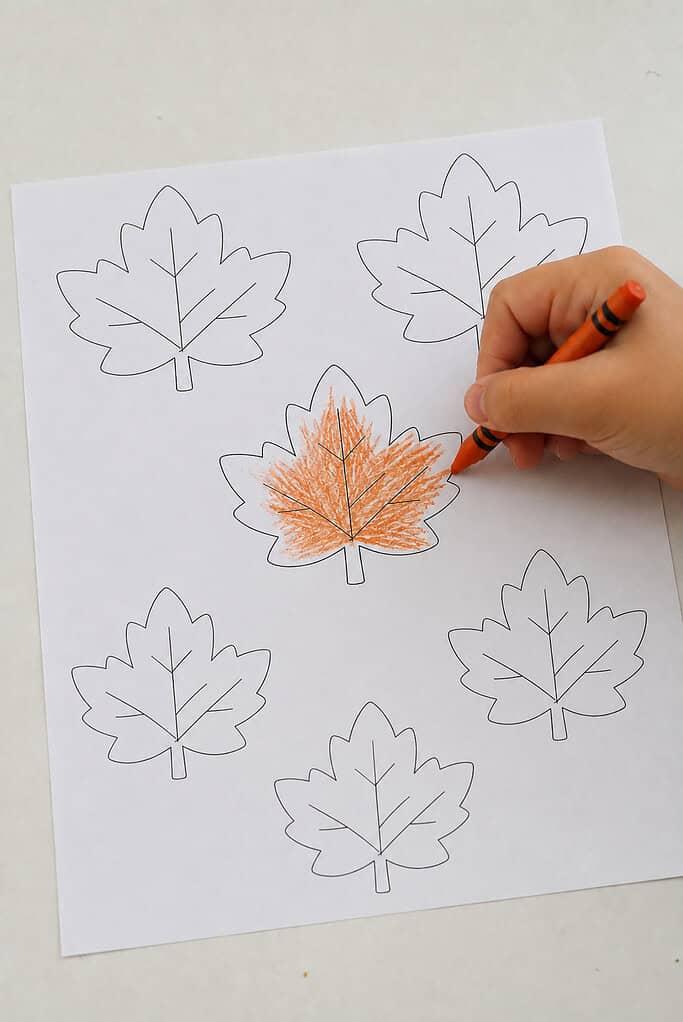 A child coloring the black-and-white leaf pieces for the Nuts About Jesus acorn craft with an orange crayon