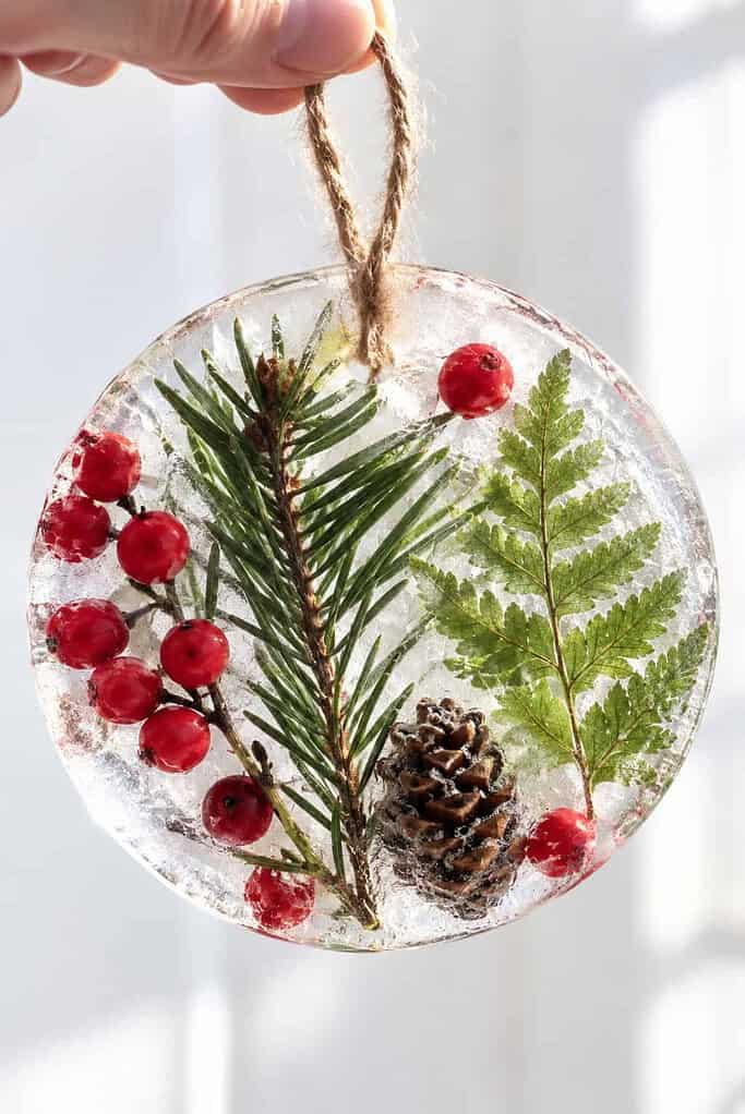 A round ice ornament with red berries, evergreen, and a fern leaf frozen inside, held up against a bright white background.